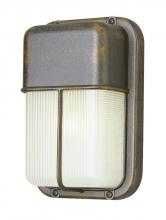  41103 SAL - Well 10-In. Outdoor Pocket Lantern